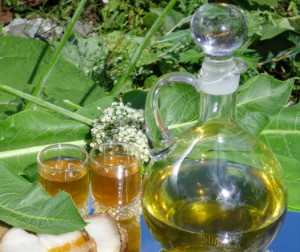 Настой листьев хрена Настой листьев хрена