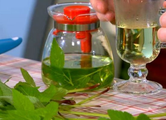 Настой сныти Настой сныти