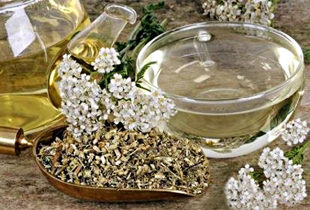 Настой тысячелистника для суставов Настой тысячелистника для суставов