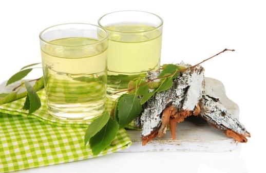 Настойка из березового сока Настойка из березового сока