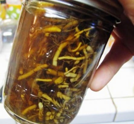 Настойка сабельника Настойка сабельника