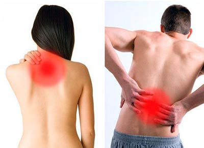 Обезболивание свойства лаврушки Обезболивание свойства лаврушки