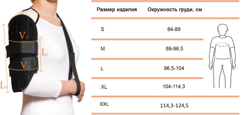 Измерение окружности руки и грудины Измерение окружности руки и грудины