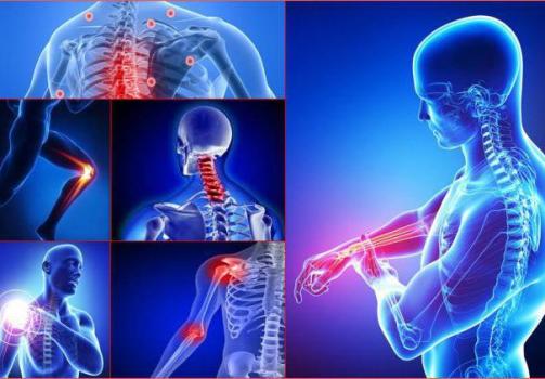 Проблемы с опорно-двигательным аппаратом Проблемы с опорно-двигательным аппаратом