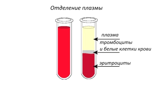 Отделение плазмы Отделение плазмы