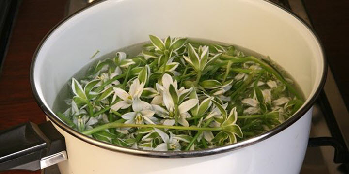 Приготовление отвара Приготовление отвара