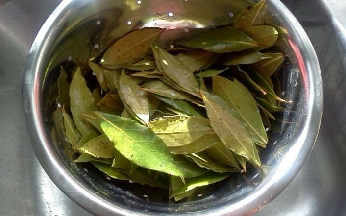 Отвар лаврового листа при остеохондрозе Отвар лаврового листа при остеохондрозес