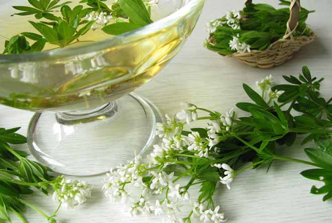 Отвар марены при остеохондрозе Отвар марены при остеохондрозе