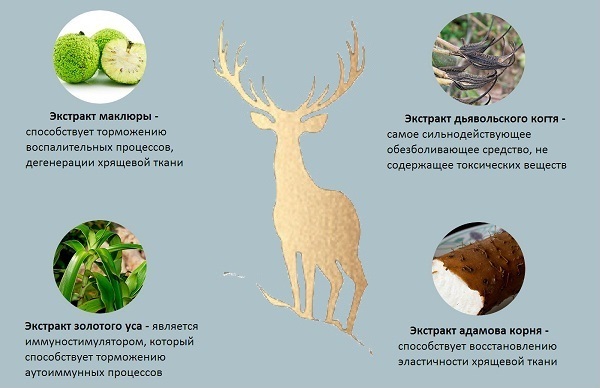 Действующие вещества геля Пантогор Действующие вещества геля Пантогор