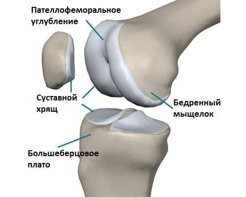 Пателлофеморальное углубление Пателлофеморальное углубление