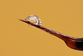 Пчелиный яд — основное действующее вещество Пчелиный яд — основное действующее вещество