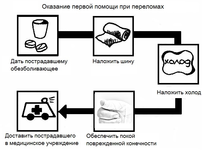 Первая помощь при переломе большого пальца Первая помощь при переломе большого пальца