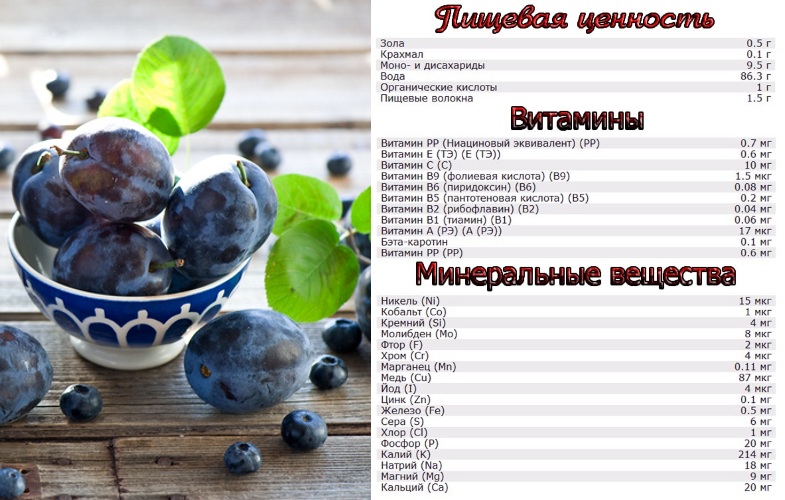 Пищевая ценность сливы Пищевая ценность сливы