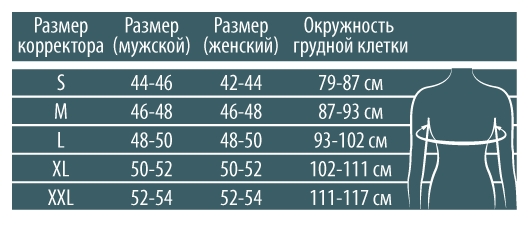 Подбор корректора осанки Подбор корректора осанки