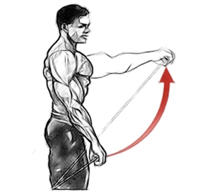 Подъем прямой руки на уровень плеча Подъем прямой руки на уровень плеча