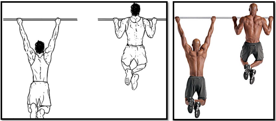 Подтягивание на турнике Подтягивание на турнике