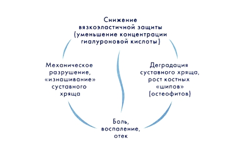 Показания для применения Гиастата Показания для применения Гиастата