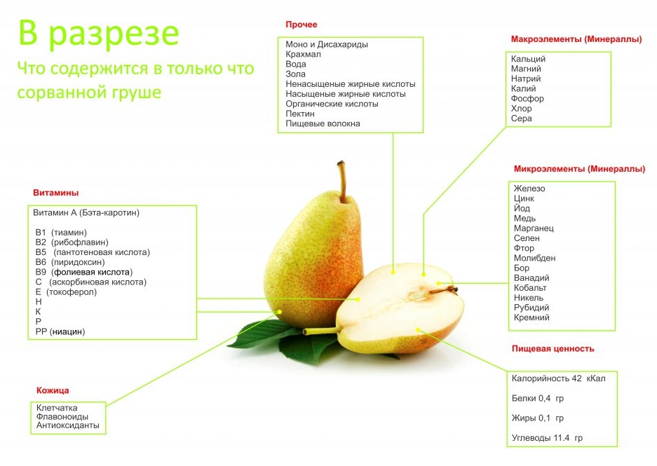 Полезный состав груш Полезный состав груш