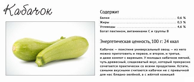 Полезный состав кабачка Полезный состав кабачка