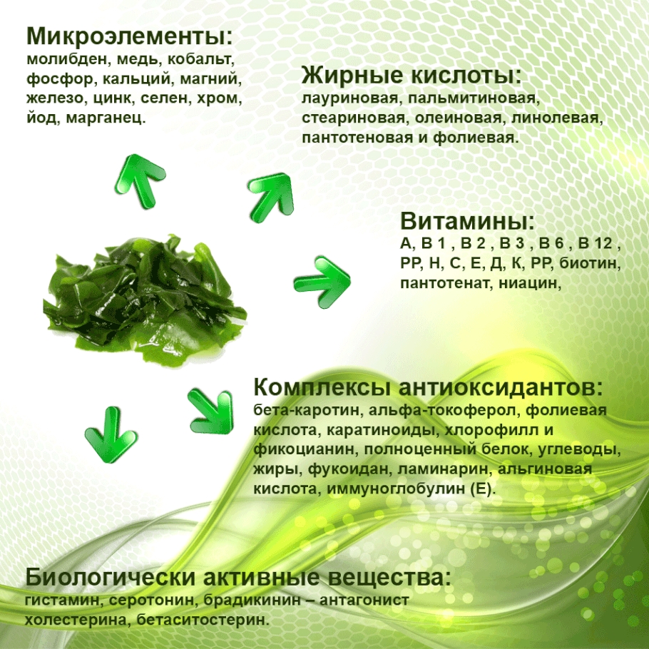 Полезный состав ламинарии Полезный состав ламинарии