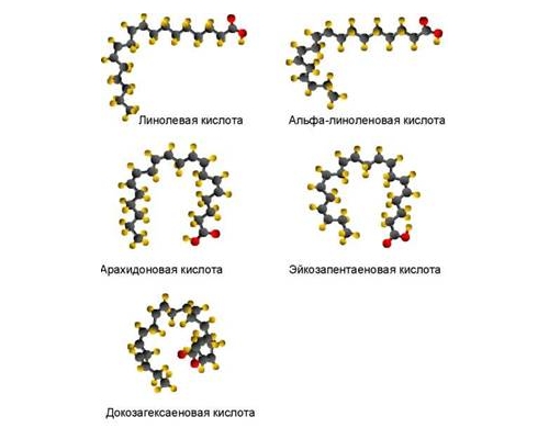 Полинасыщенные жирные кислоты Полинасыщенные жирные кислоты