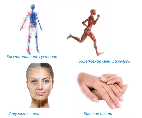 Польза БАДа Доктор Бест Польза БАДа Доктор Бест