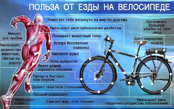 Польза от езды на велосипеде Польза от езды на велосипеде