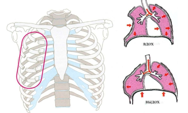 Опасность повреждения легких Опасность повреждения легких