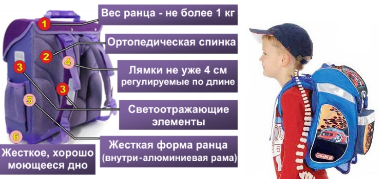 Выбор правильного ранца Выбор правильного ранца