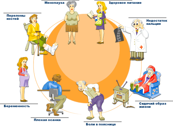 Причины остеопороза Причины остеопороза