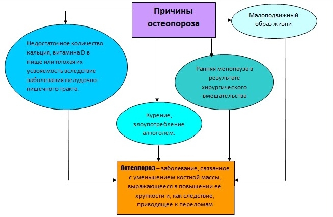 Причины остеопороза Причины остеопороза