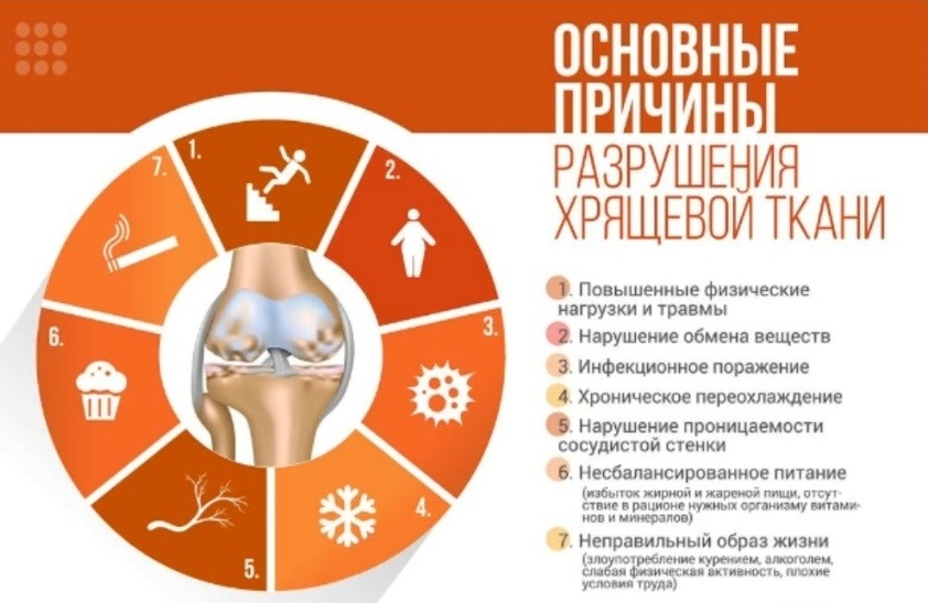 Причины разрушения хрящевой ткани Причины разрушения хрящевой ткани