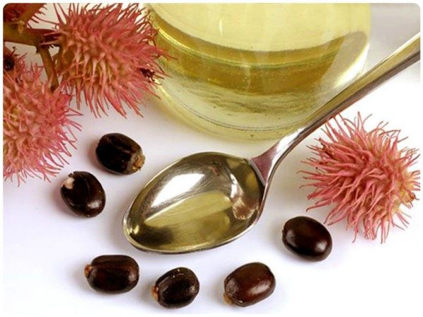 Прием касторки Прием касторки