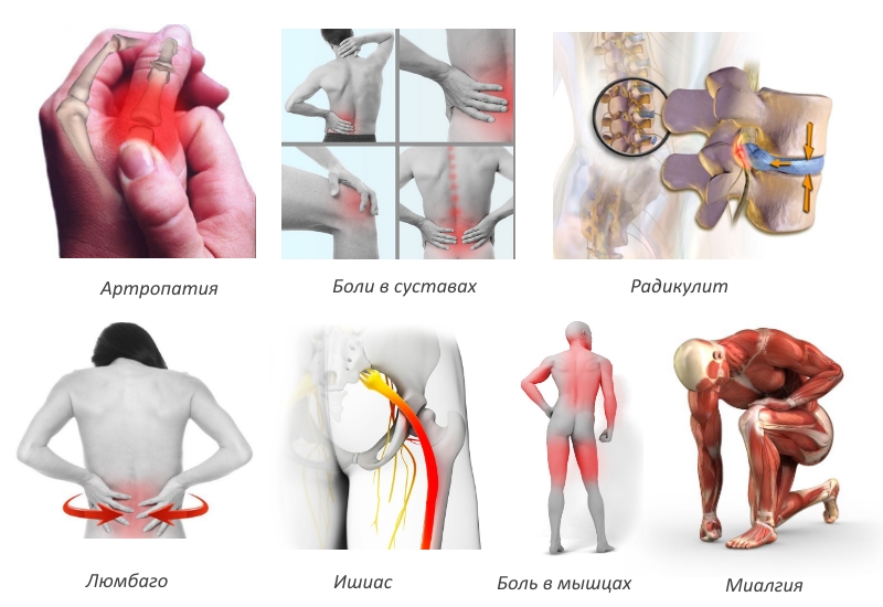 Показания для использования мази Показания для использования мази