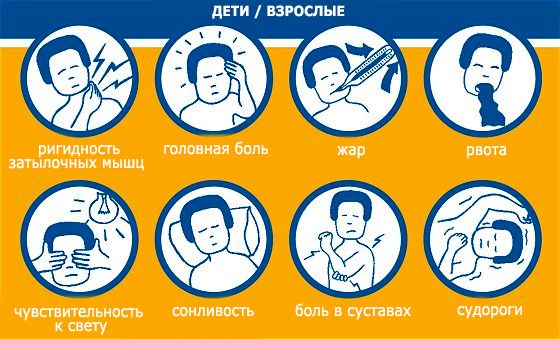 Признаки менингита Признаки менингита