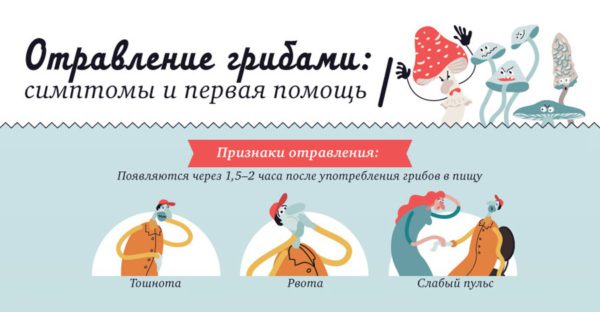 Признаки отравления мухоморами Признаки отравления мухоморами