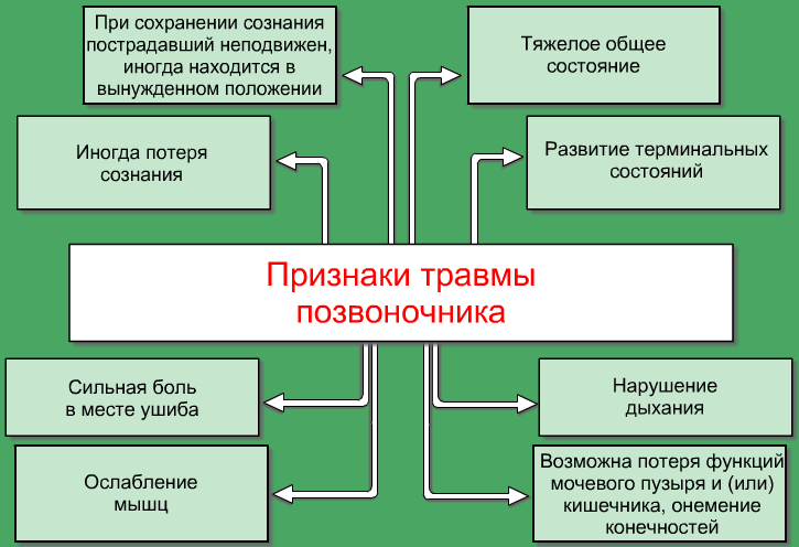 Признаки травмы позвоночника Признаки травмы позвоночника