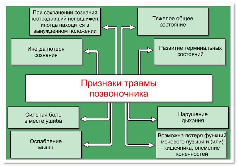 Признаки ушиба спины Признаки ушиба спины