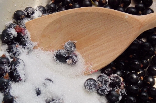 Протертая смородина с сахаром Протертая смородина с сахаром