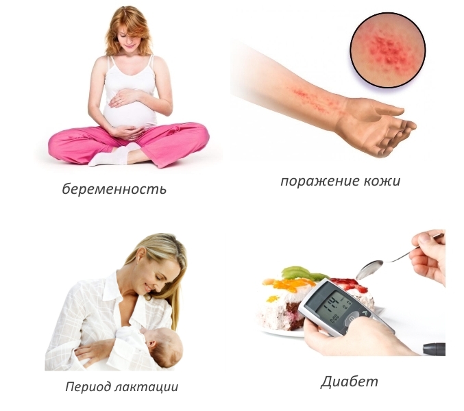 Противопоказания для приема настоя маклюры Противопоказания для приема настоя маклюры