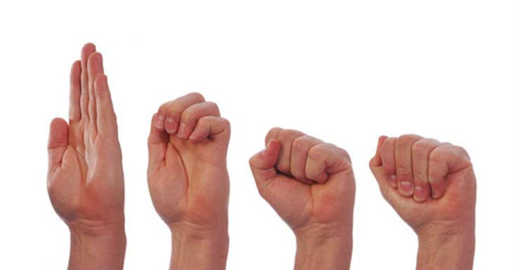 Разработка пястных костей Разработка пястных костей