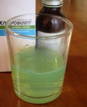 Разведенный раствор хлорофиллипта Разведенный раствор хлорофиллипта