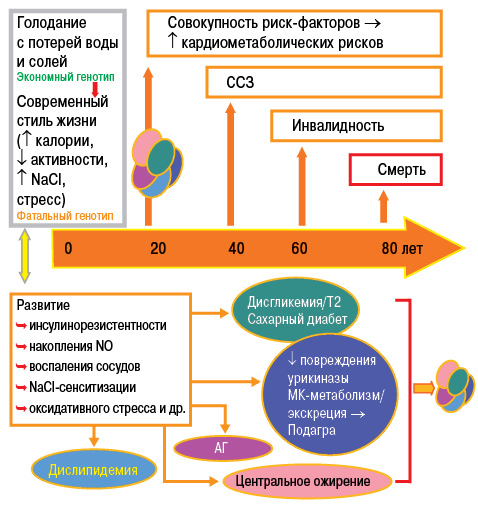 Развитие подагры при отсутствии лечения Развитие подагры при отсутствии лечения