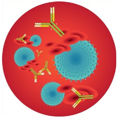 Анализ крови на ревматоидный фактор Анализ крови на ревматоидный фактор