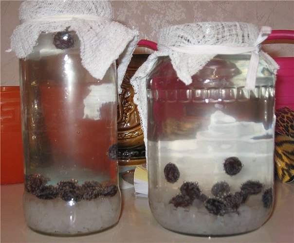 Рисовый квас с изюмом Рисовый квас с изюмом