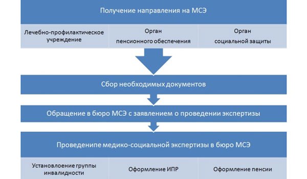 Схема оформления инвалидности Схема оформления инвалидности