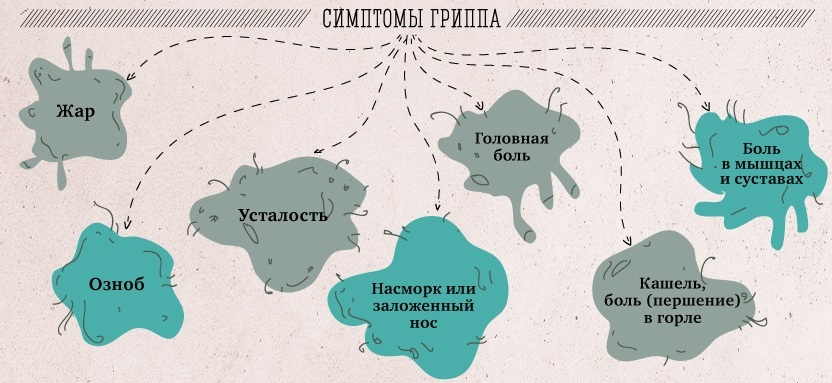 Симптомы гриппа Симптомы гриппа