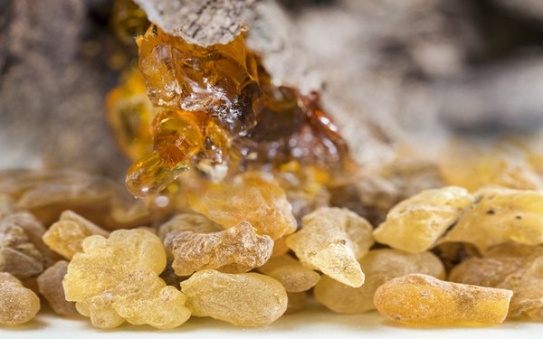 Смола босвеллии Смола босвеллии