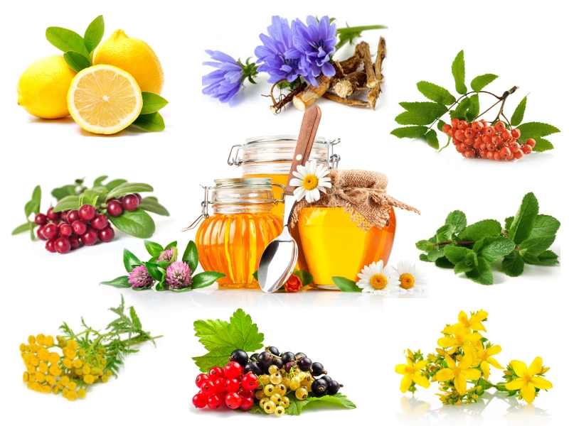 Сочетание трав, ягод и фруктов с медом Сочетание трав, ягод и фруктов с медом