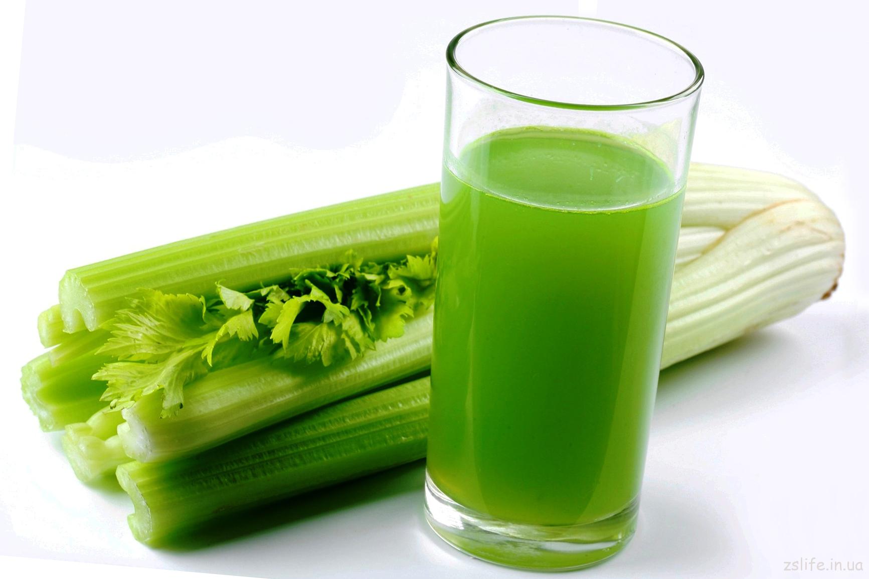 Сок сельдерея при остеохондрозе Сок сельдерея при остеохондрозе